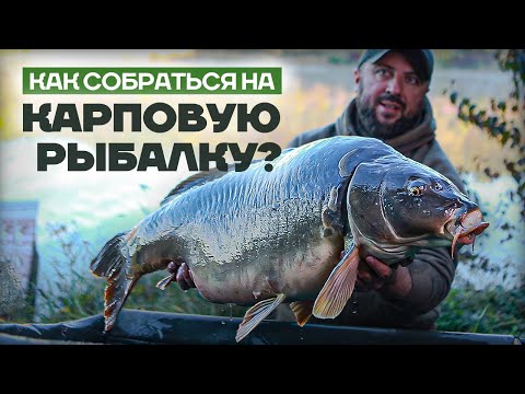 Видео: КАРПфишинг 2022 для НОВИЧКОВ или Что взять на Карповую Рыбалку?!  СНАСТИ, ПРИКОРМКА, АКСЕССУАРЫ и...