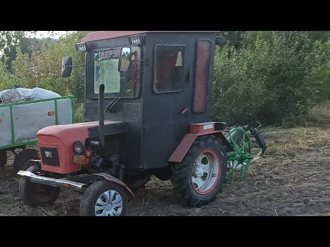 Видео: Вот это агрегат!Испытания конной веерной картофелекопалки!