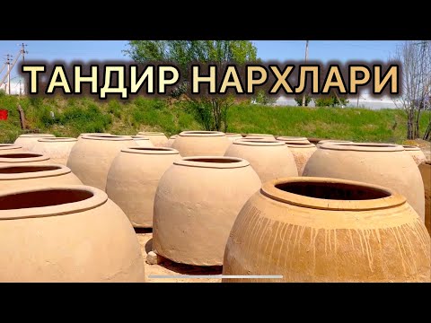 Видео: ТАНДИР НАРХЛАРИ | TANDIR NARXLARI
