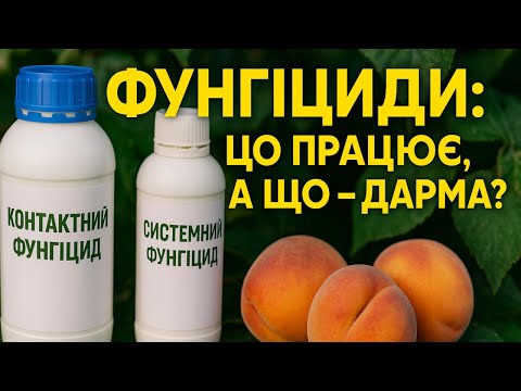 Видео: ОБРОБКИ САДУ ВІД ГРИБКІВ: контактний чи системний фунгіцид?
