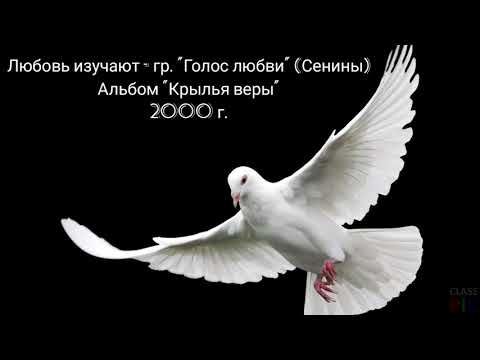 Видео: Любовь изучают - гр. "Голос любви" (Сенины).