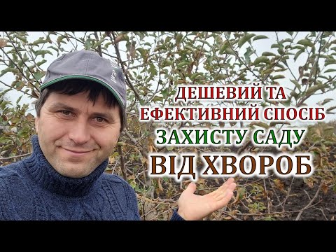 Видео: Дешевий та ефективний спосіб захисту саду від хвороб