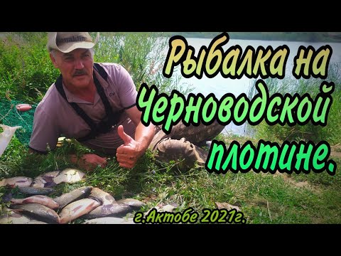 Видео: Рыбалка на Черноводской плотине/Карась клюёт не успеваю заправлять оснастки /СХОД КАРПА Актобе 2021г