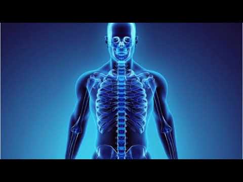 Видео: ЕР БУСЫН ХҮМҮҮС