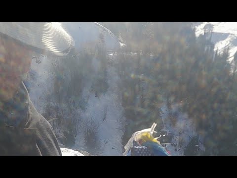 Видео: Paul Gilbert Help Guitar Живая гитара Алга Казахстан 🇰🇿 Ищу жену Добрую #стрим #stream #живаягитара