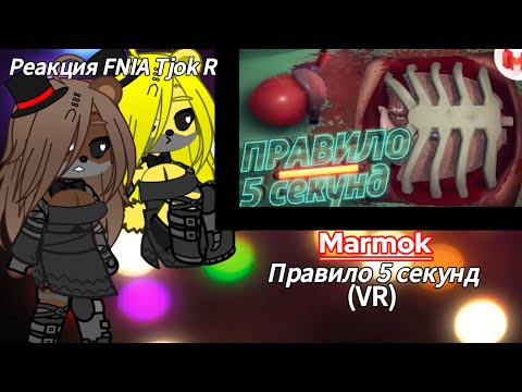Видео: Реакция FNIA Tjok R | Marmok | Правило 5 секунд | Перезалив |