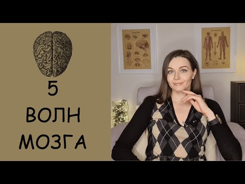 Видео: 5 РИТМОВ МОЗГА, БЕССОЗНАТЕЛЬНОЕ и СОЗНАНИЕ. Состояние альфа, тета, дельта, гамма волны.