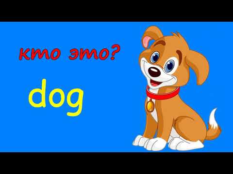 Видео: Изучаем домашних животных на английском языке. We study pets.