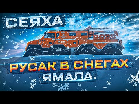 Видео: Русак на Ямале. Часть 7. Сеяха. Пурга всю дорогу. В обратный путь. Забираем отшельницу в Яптик Сале.