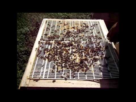 Видео: Постановка третьего корпуса.