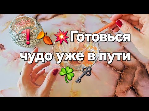 Видео: ❗️🍁🎁 КАКИЕ ГРЯДУТ СУДЬБОНОСНЫЕ ПЕРЕМЕНЫ В НОЯБРЕ ⚡️гадание для тебя 100%