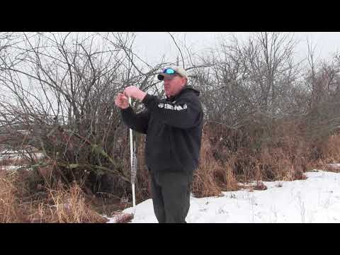 Видео: как использовать маркировку для рысей