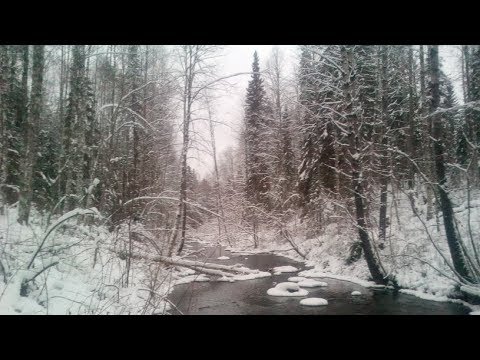 Видео: 2017 начало зимы Конёво