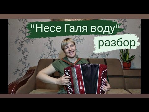 Видео: "Несе Галя воду" разбор на баяне