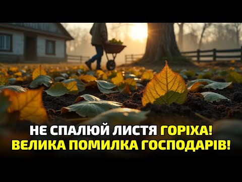 Видео: 7 причин не палити горіхове листя! Що відбувається із землею, коли ви це робите!