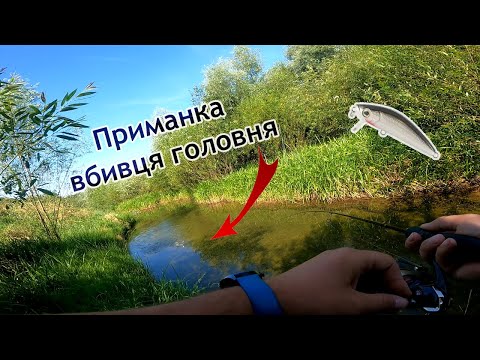 Видео: ГОЛАВЛИНЕ ЕЛЬДОРАДО! Мустанг розриває на Бистриці!