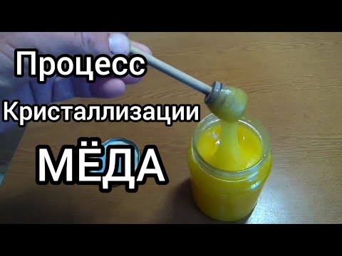 Видео: За какое время садиться или засахаривается мёд. Процесс кристаллизации мёда в ускоренном времени