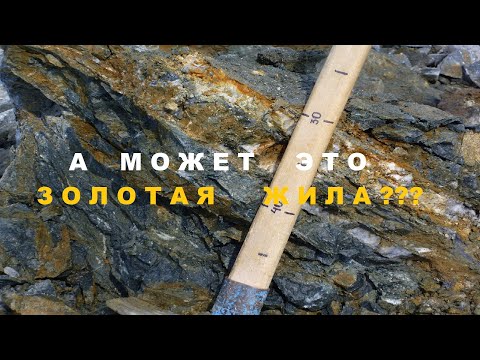 Видео: Может это золотая Жила? Удачная разведка!