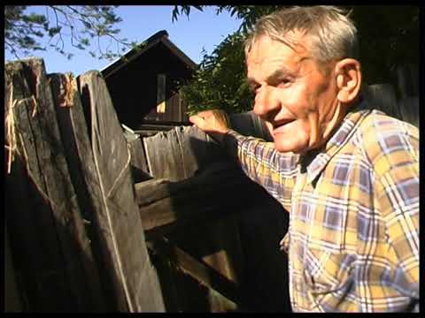 Видео: Чайки над рельсами. Документальный фильм. Байкал, 2007