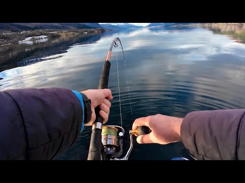 Видео: Клюнул ПАЛТУС, не могу поднять!!! Ловля палтуса в Норвегии 2025