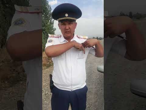 Видео: Базар-Коргон.Шакыйланбаңыз!