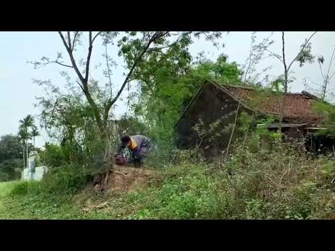 Видео: Уборка дома сумасшедшей женщины, который был заброшен 10 лет