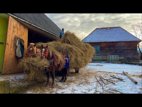 Видео: Жизнь в отдаленных деревнях Трансильвании | Вдали от цивилизации