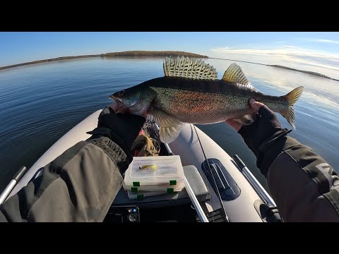 Видео: Осенняя рыбалка на судака .Часть 2 .Аргази в октябре.