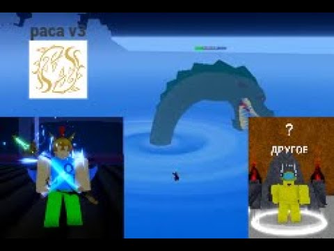 Видео: Путь с нуля до максимума в Blox Fruits ⚔️| Roblox🚀 | 9 часть