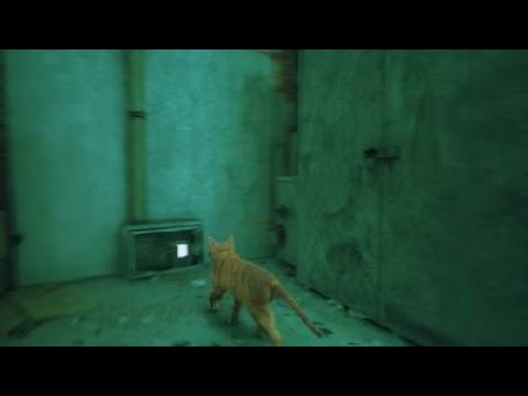 Видео: Прохождения stray 2# трещобы