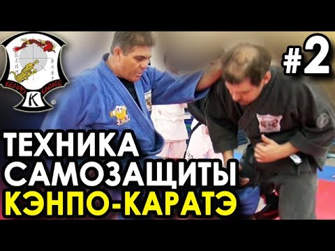 Видео: Техника самообороны Кэнпо-Каратэ: мастер-класс Мохамада ТАБАТАБАЯ (9 Дан) - продолжение.