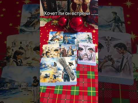 Видео: 18 ноября 2025 г.