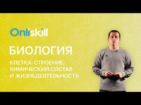 Видео: БИОЛОГИЯ 8 класс: Клетка: строение, химический состав и жизнедеятельность