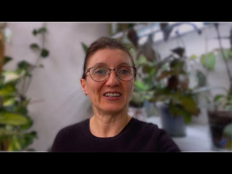 Видео: ОБЗОР ХОЙ ✅️ как растут хойи на "минималках" : БЕЗ СВЕТА💡и ТЕПЛА🌞