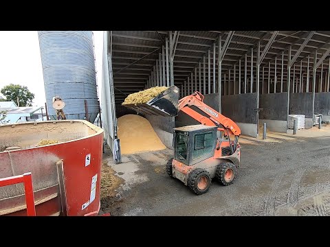 Видео: Фиксация и кормление