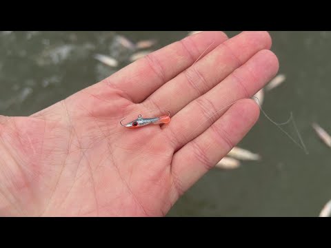 Видео: КАК ЛОВИТ САМЫЙ МАЛЕНЬКИЙ БАЛАНСИР В МИРЕ? РЫБАЛКА ВО ВРЕМЯ ТЁПЛОЙ ЗИМЫ