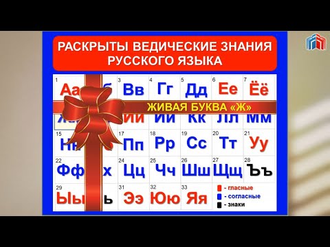 Видео: Живая буква Ж-3