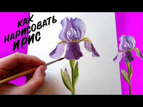 Видео: РИСУНКИ ЦВЕТОВ / Как нарисовать ИРИС / красивые  рисунки для срисовки