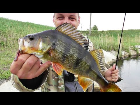 Видео: Ведро и садок забиты рыбой. Хорошо что взял кукан. Открытие рыбалки, состоялось!!!