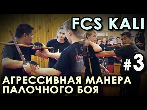 Видео: Агрессивная манера Палочного БОЯ Системы FCS – 1: техника входов.