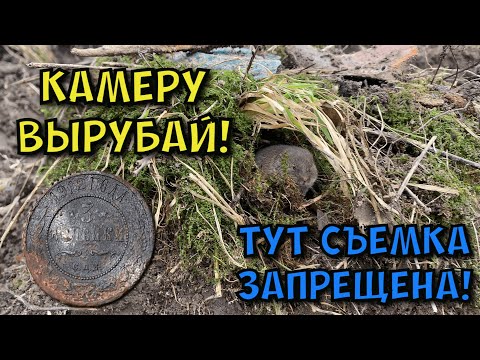 Видео: новые находки на выбитом хуторе#леснойскобарь#коп#металлоискатель#находкисметаллоискателем#minelab