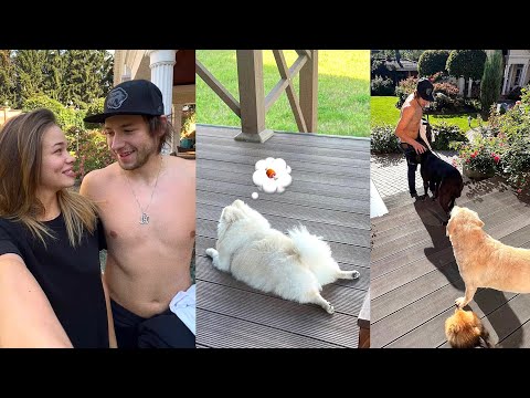 Видео: VLOG | бытовуха в Челябинске | летим в Москву | перевозим собаку