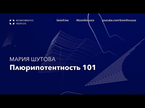 Видео: Плюрипотентность 101 | Мария Шутова