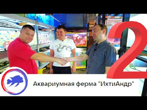 Видео: Аквариумная ферма ИхтиАндр г.Ростов-на-Дону. Часть 2