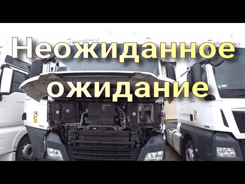 Видео: Неожиданное ожидание