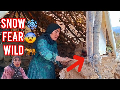 Видео: Одинокая мать построила окно в хижине, защищающее от снега и диких животных