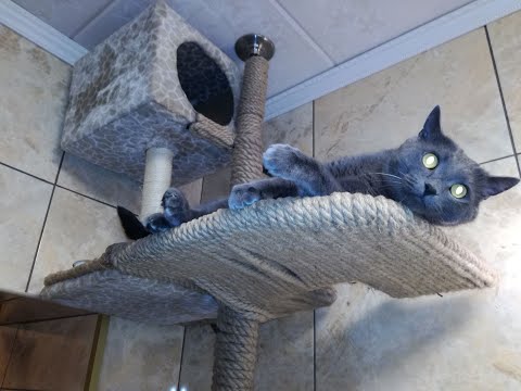 Видео: Мне нужен автодом #6 - Проектирование фургона