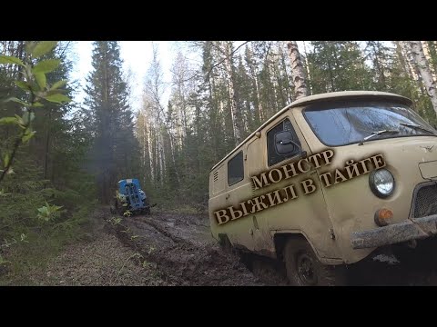 Видео: МОНСТР ВЫЖИЛ В ТАЙГЕ! ВОЗВРАЩЕНИЕ ДОМОЙ!