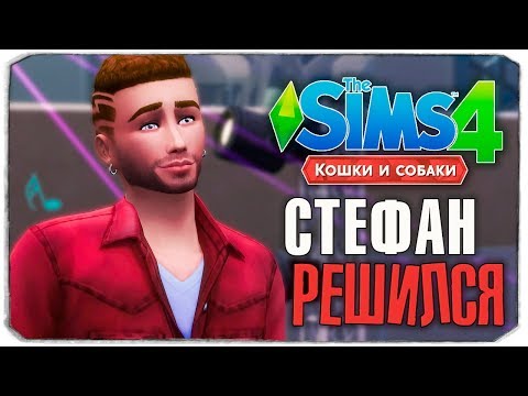 Видео: СТЕФАН РЕШИЛСЯ? - The Sims 4 "Кошки и Собаки" ▮