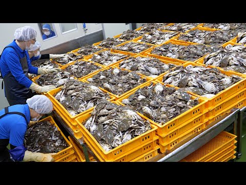 Видео: Продаётся на 2,2 млн долларов каждый год?! Лучшая фабрика острых маринованных крабов в Корее